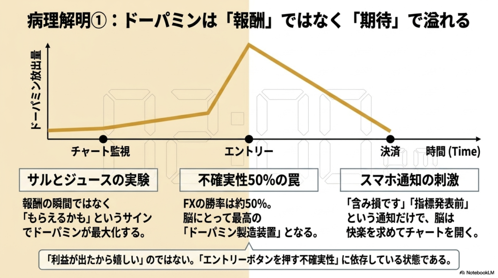 ポジポジ病の病理解明①
ドーパミンは「報酬」ではなく「期待」を持った瞬間から溢れる。図解